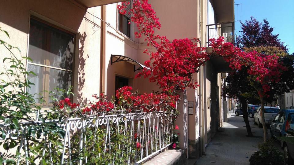 Bed And Breakfast Hibiscus 알게로 외부 사진